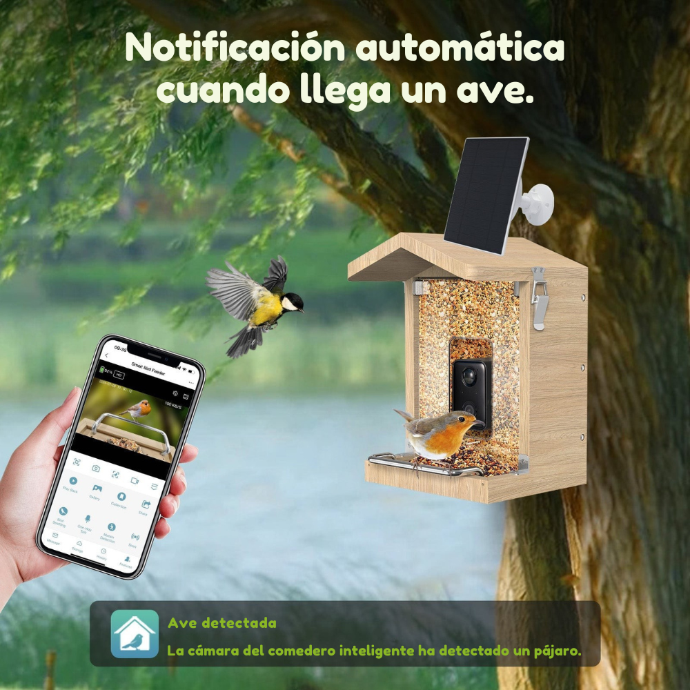 Comedero Inteligente con Cámara HD – Vigilancia en Tiempo Real