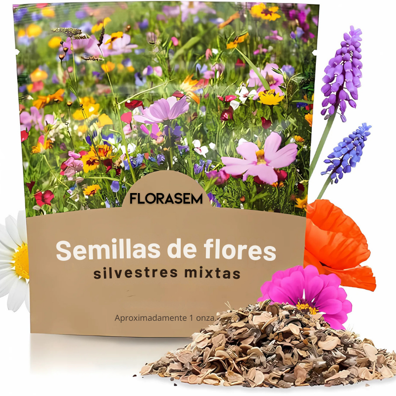florecitas silvestres
