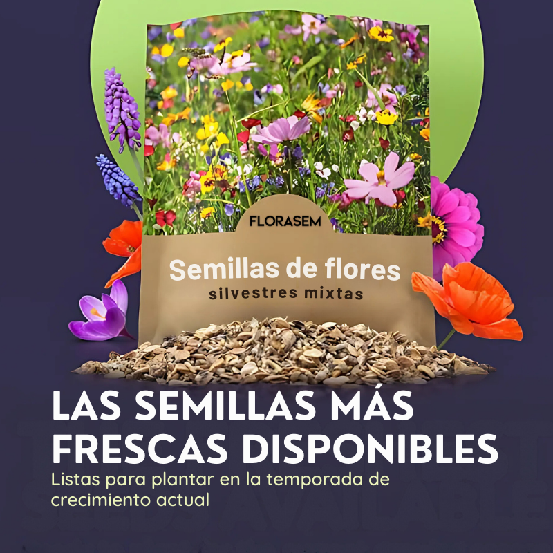 florasem4_Paquete de Semillas de Flores Silvestres Variadas